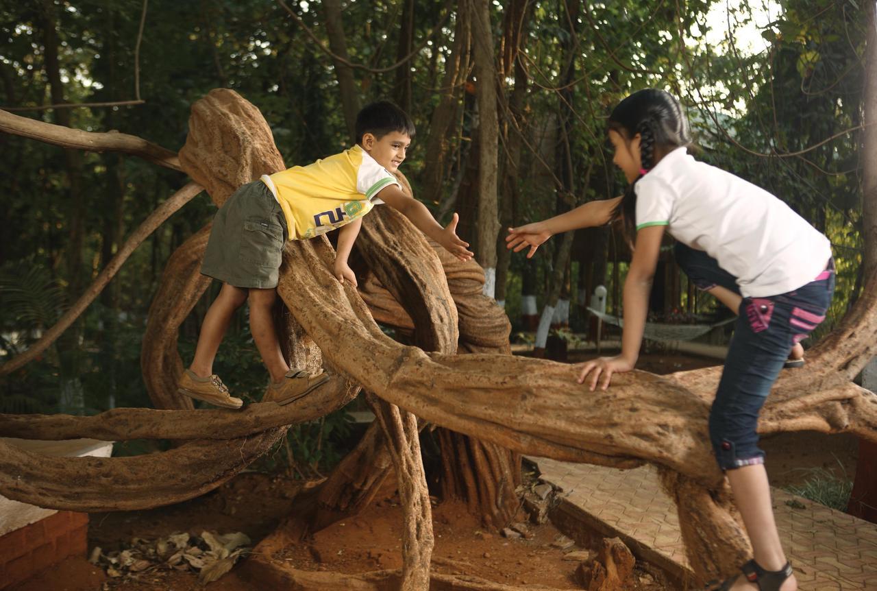 Nature Trails Sajan, Vikramgad Kudān Extérieur photo
